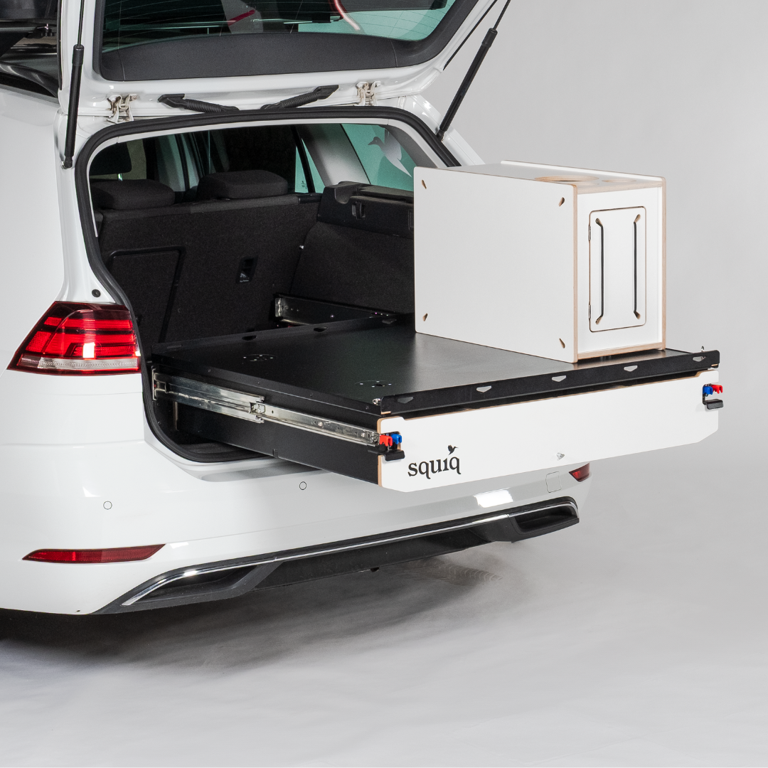 Multifunctional Trunk Storage Box